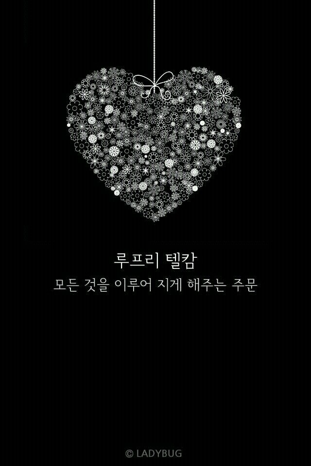루프리텔캄 이미지