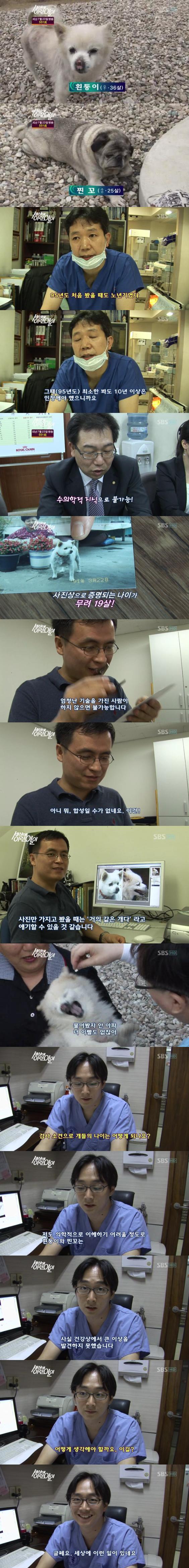 개 나이의 신비.jpg | 인스티즈