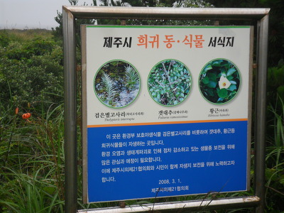 바당동네 이미지