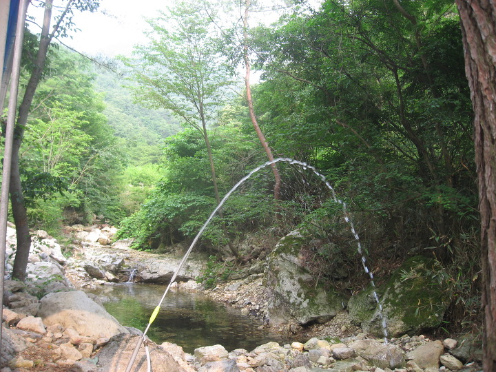 그라제 이미지