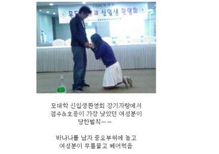 새터 이미지