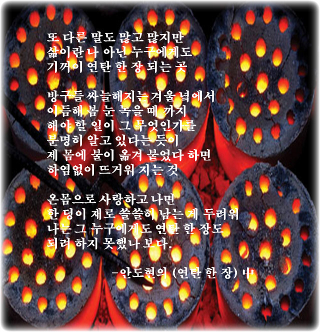 연탄재차지마라 이미지