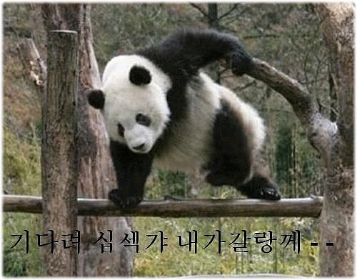 요센 이미지
