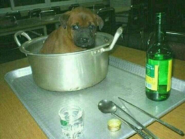 드리오 이미지