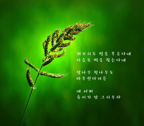 러브레타 이미지