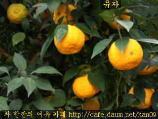 경희광택 이미지