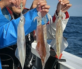 200D90534DE2055124CDE3