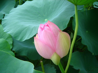 이경제일 이미지