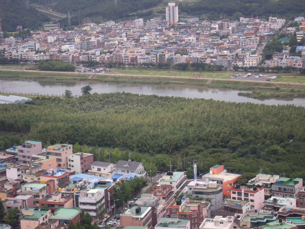 삼호정 이미지