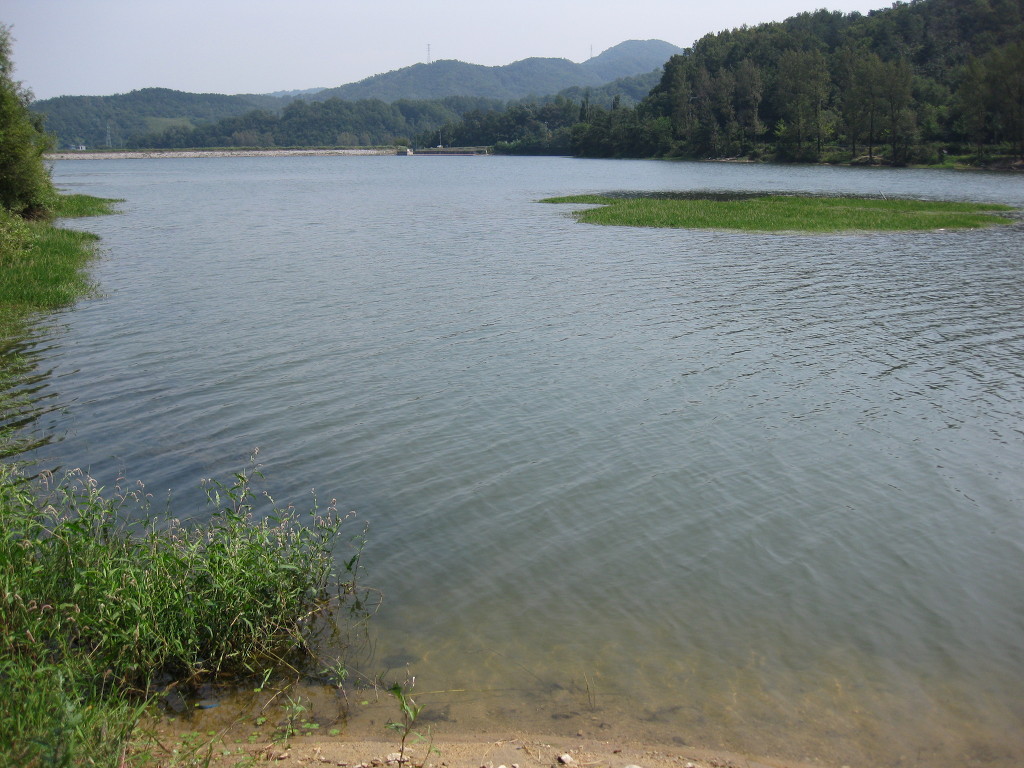 삼일낚시 이미지