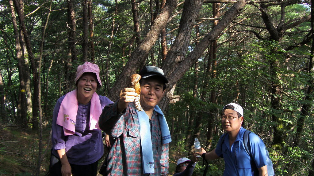 심봤다 이미지