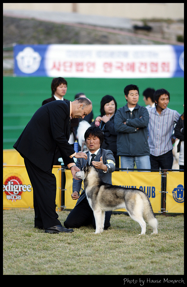 샤론 이미지