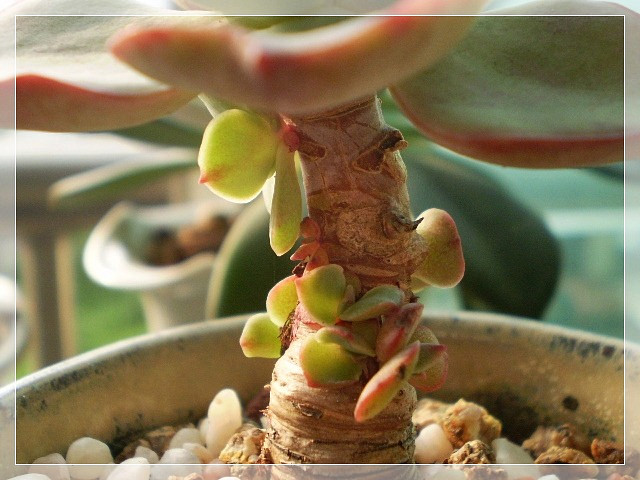 파우더블루 이미지