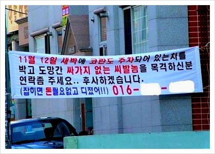 디진다 이미지