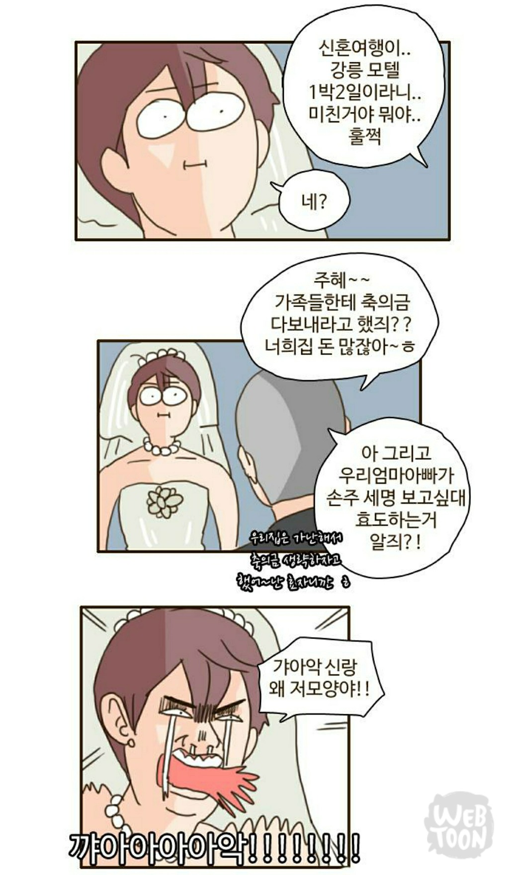 최근 화제가 된 스몰웨딩 가성비웨딩을 시원하게 비꼬는 오늘자 달수 이야기 | 인스티즈