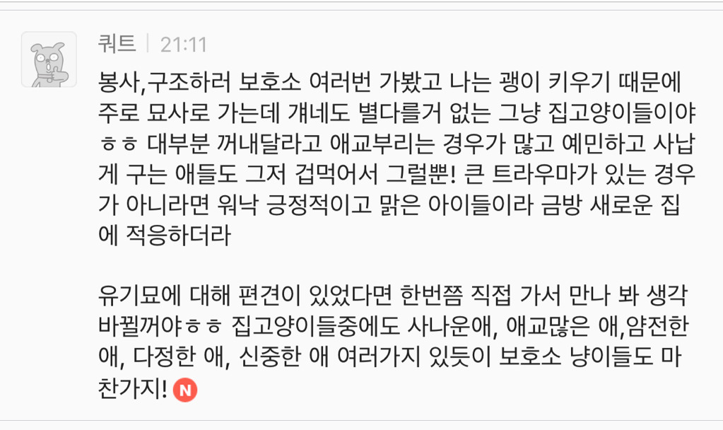 유기견 입양은 좀 꺼려져; 문제가 있어서 버려진 애들 아냐? | 인스티즈