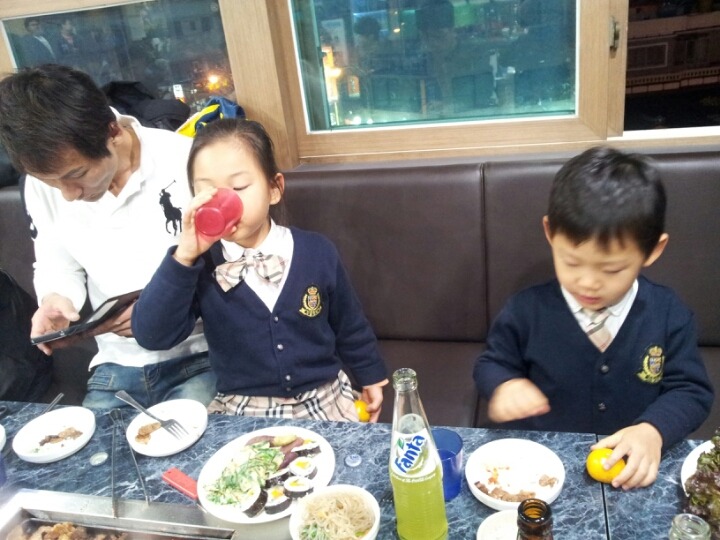 부산갈메기 이미지