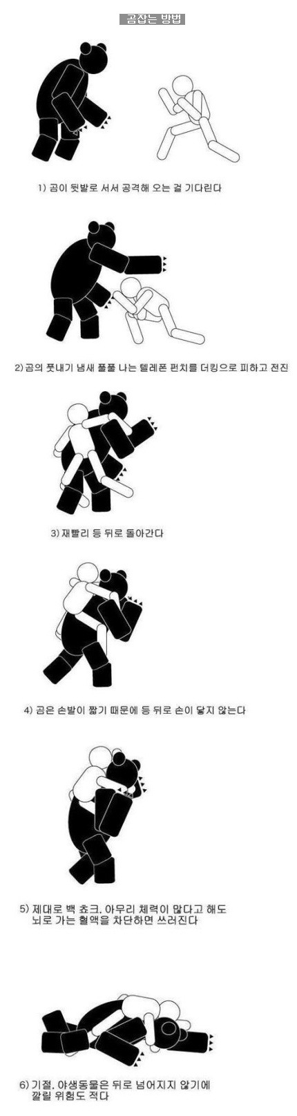 곰 잡는 방법.jpg | 인스티즈