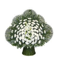 2111313956F9C32E02753F