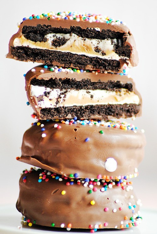 CooKie쿠키 이미지