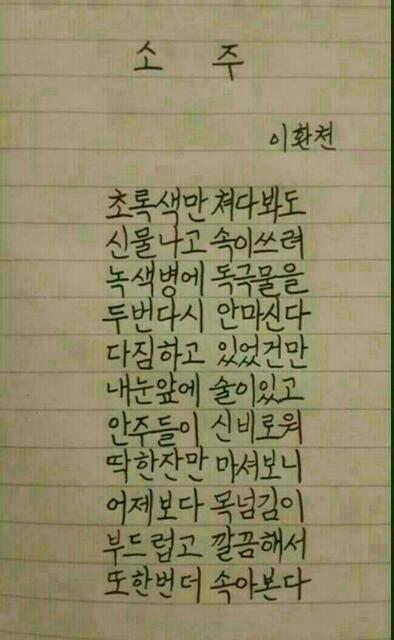 조은날 이미지