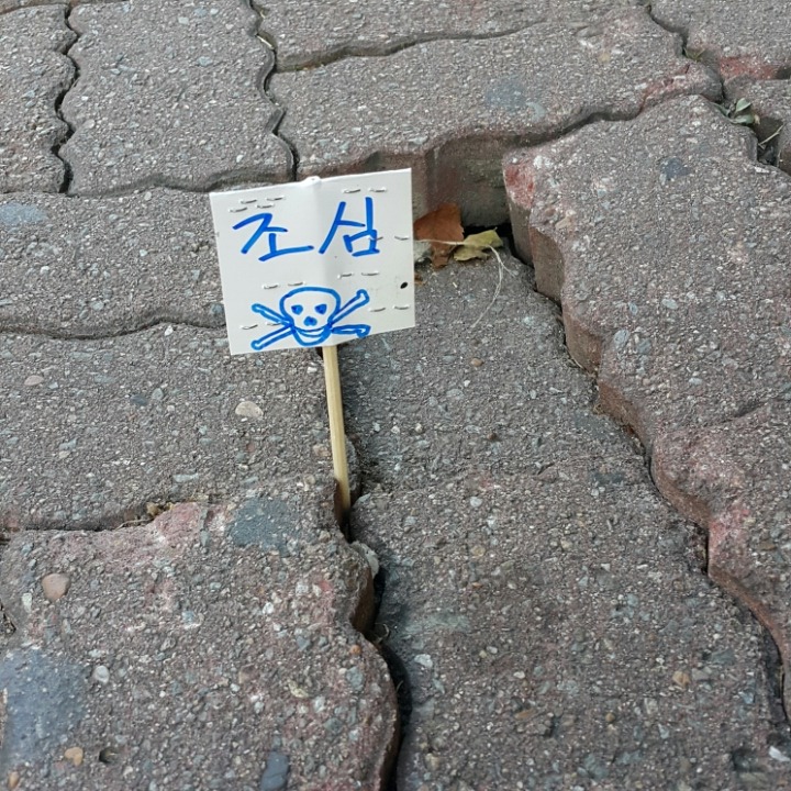 쎈스 이미지