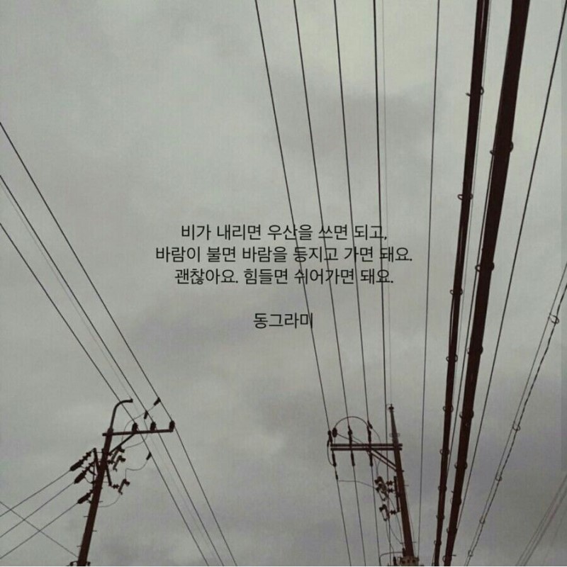 나린 이미지