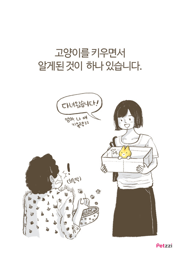 고양이 키우다 보면 느끼는 고양이의 소소한 취향.jpg | 인스티즈