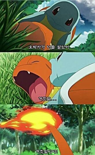 꼬부기 인생짤 | 인스티즈