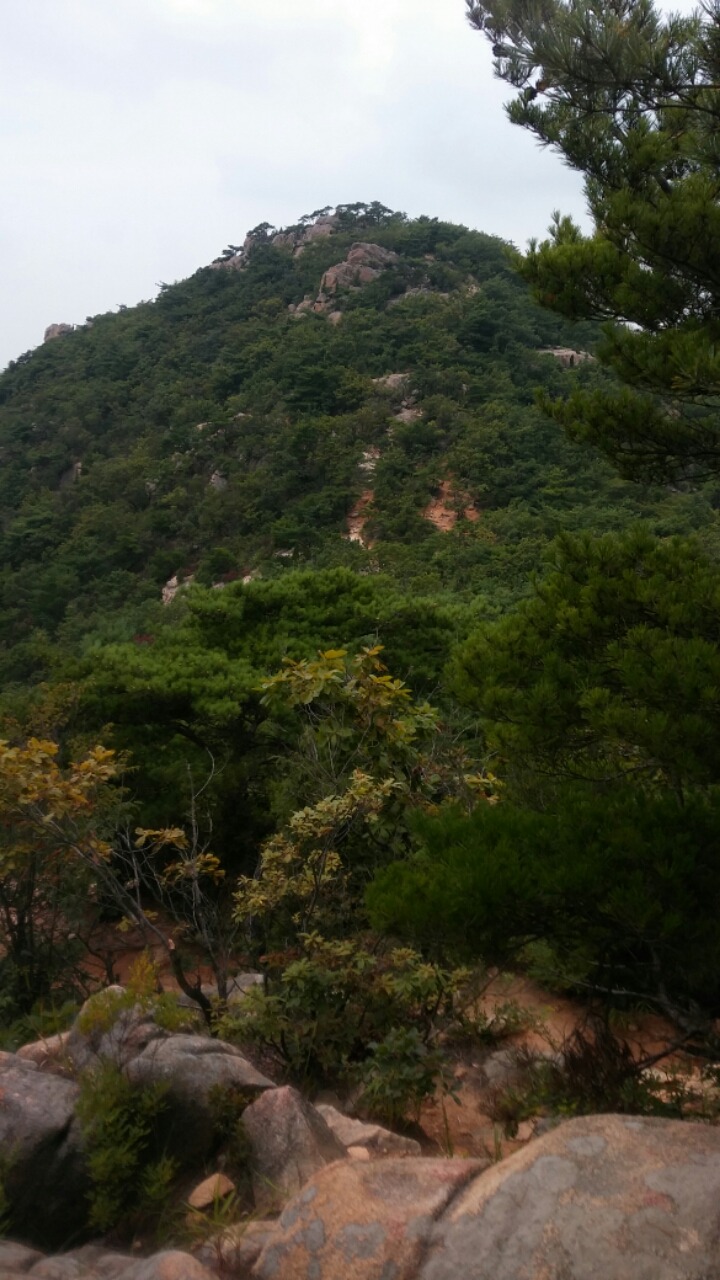 보문사 이미지