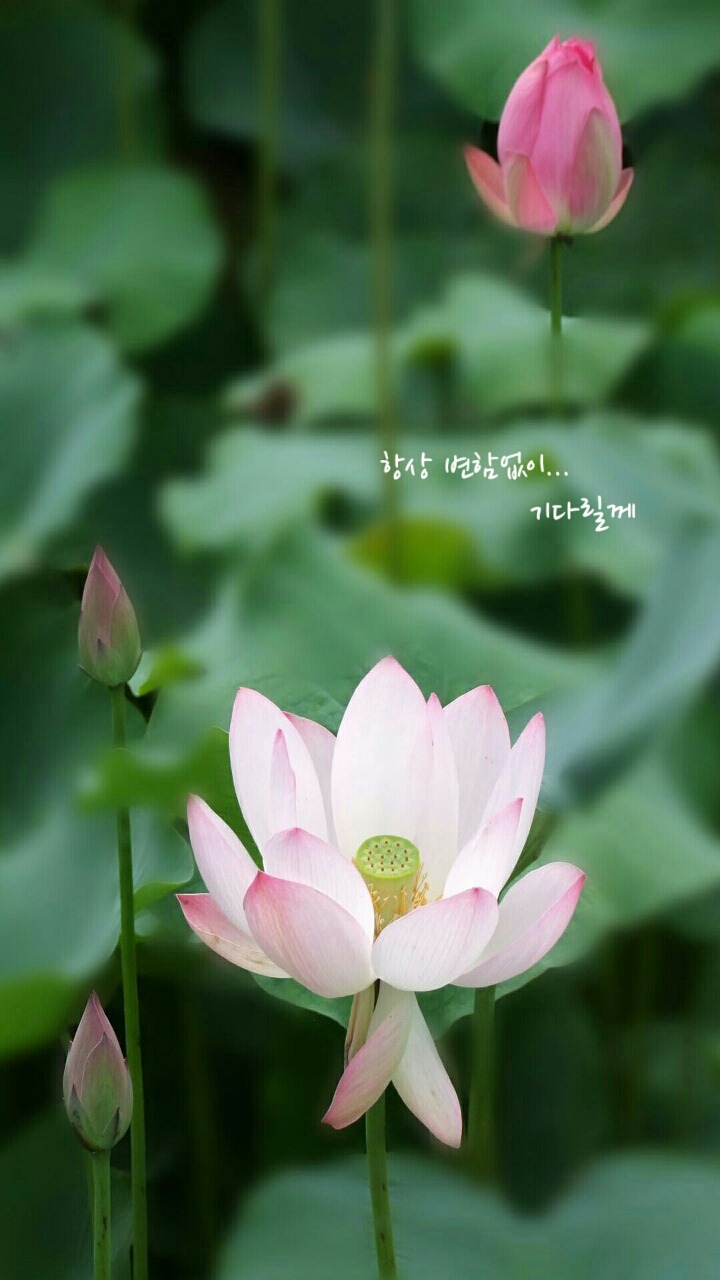 드르와 이미지