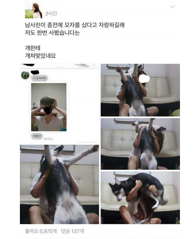 남사친이 모자를 샀다고 자랑하길래 | 인스티즈