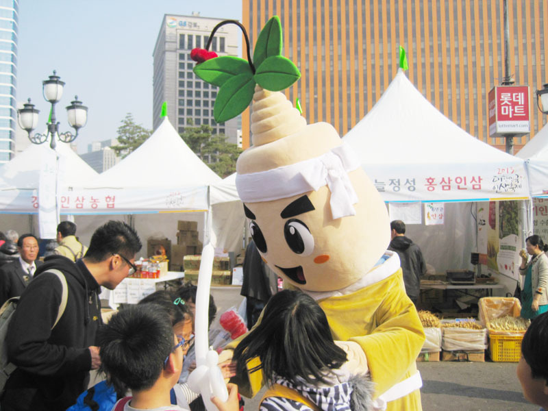 (주)금산고려인삼공사 이미지