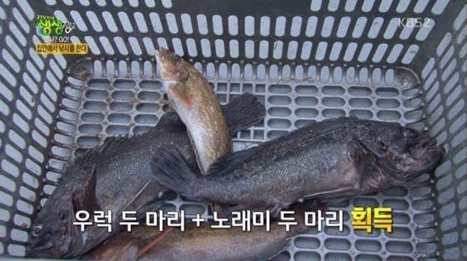 낚시 덕후 끝판왕 | 인스티즈