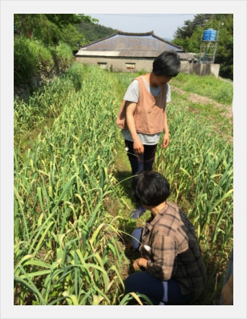 흙농장 이미지