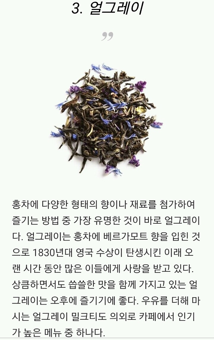 홍차를 즐기는 10가지 방법 | 인스티즈