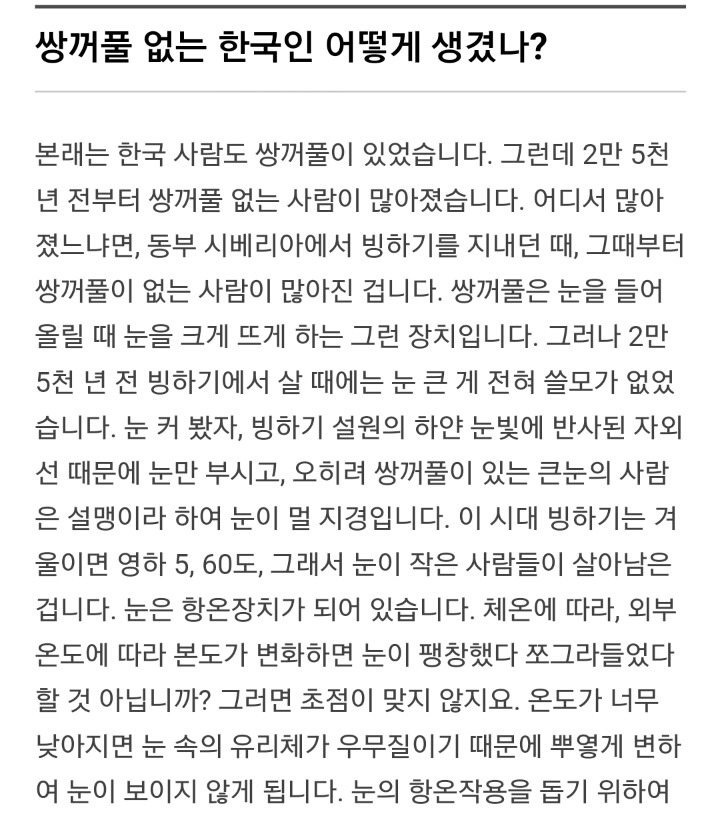 한국인의 얼굴 특징 | 인스티즈