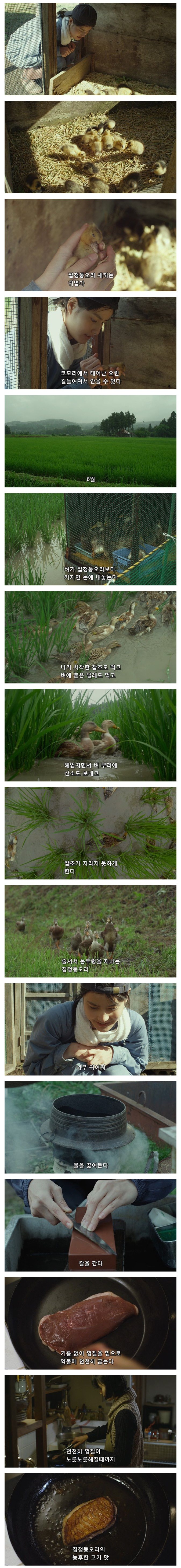 너무 귀여워 | 인스티즈