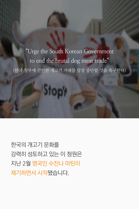개고기 반대하는 신사의 나라 | 인스티즈