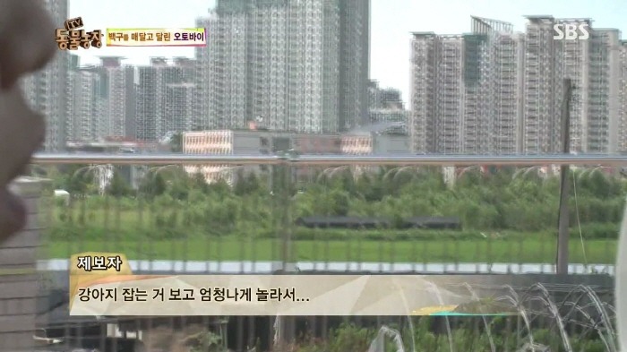 [TV동물농장] 동물농장에서 방송된 인천의 한 개 도축장의 현실.jpg | 인스티즈