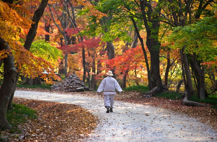 여보게 친구 이미지