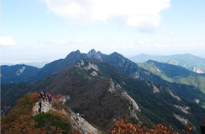 제38회 공주계룡산 (845m)자연성능 - 산행일정 및 신청방 - 평택 산누리 산악회 평택 산누리 산악회