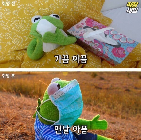 직장인이 되기 전/후 | 인스티즈