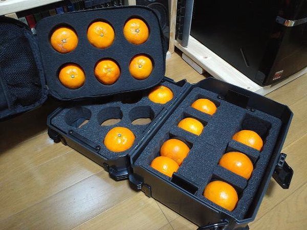 가방에 귤 안 터지게 보관하는 방법 | 인스티즈