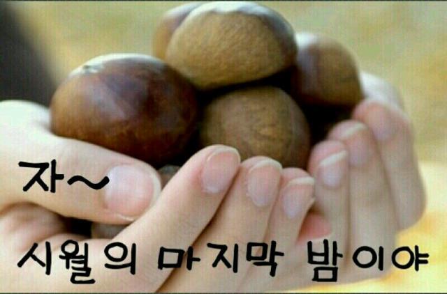 마지막밤 이미지