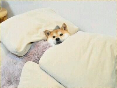 옴 므 이미지