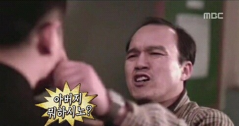 남자 아이돌이 키우는 강아지들 | 인스티즈