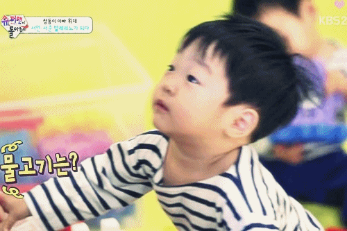  서준이가 표현하는 동물 친구들ㅋㅋㅋㅋㅋ .GIF | 인스티즈