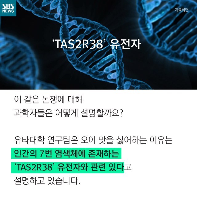 오이를 싫어하는 사람은 더 발달된 사람이다?jpg | 인스티즈