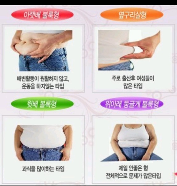 뱃살의 유형과 그 원인들.jpg | 인스티즈